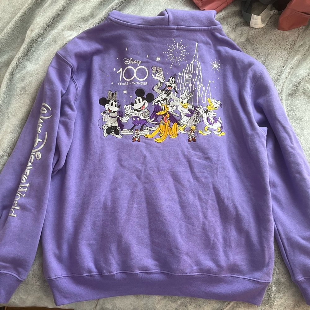 Disney Parks 100th anniversary hoodie